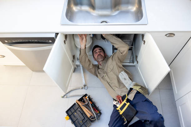 Best Toilet Repair Services  in Holtville, AL