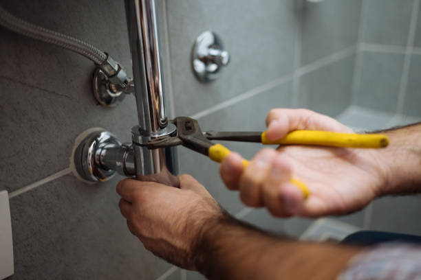 Best Same-Day Plumbing Service  in Holtville, AL