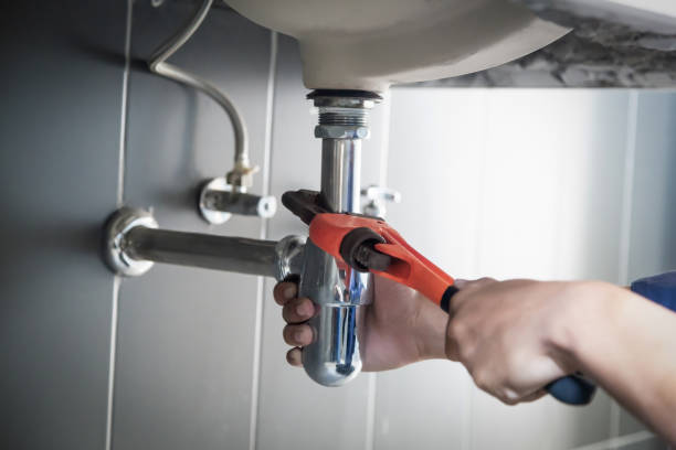 Best Plumbing Services Near Me  in Holtville, AL