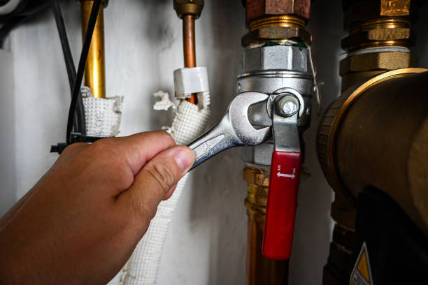 Best Clogged Drain Plumber  in Holtville, AL